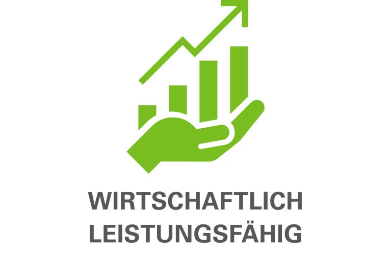 wirtschaftlich leistungsfähig