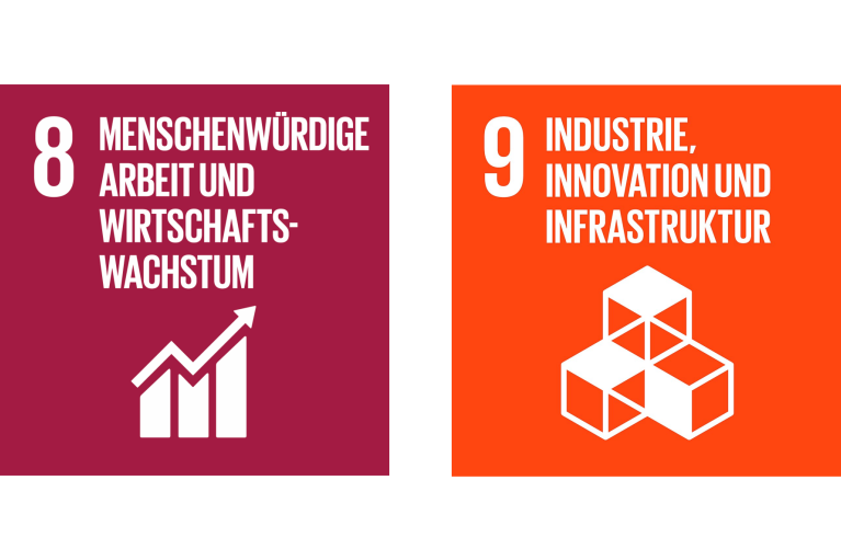 SDG 8 und 9
